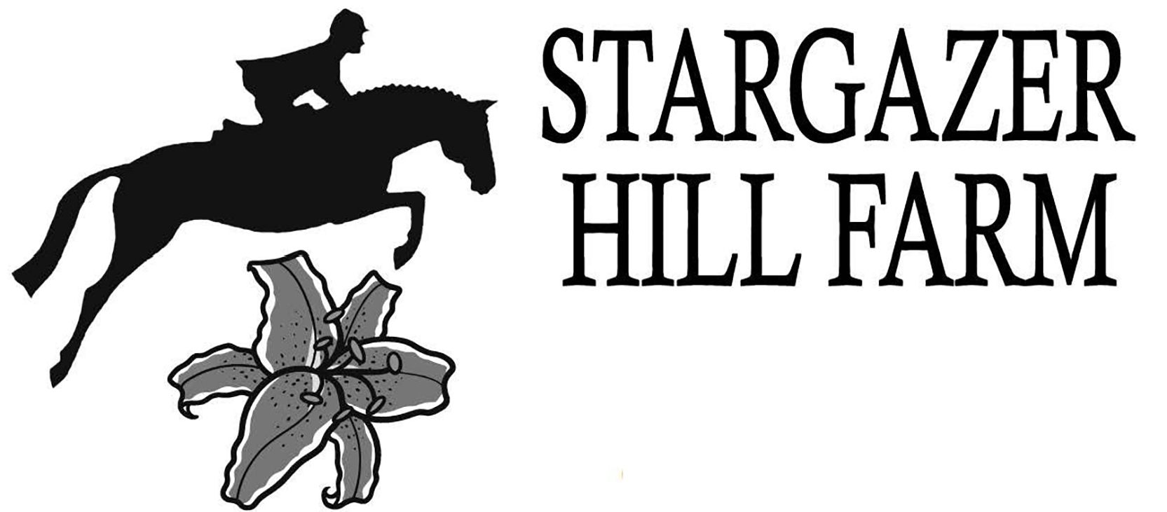 Stargazer-Hill
