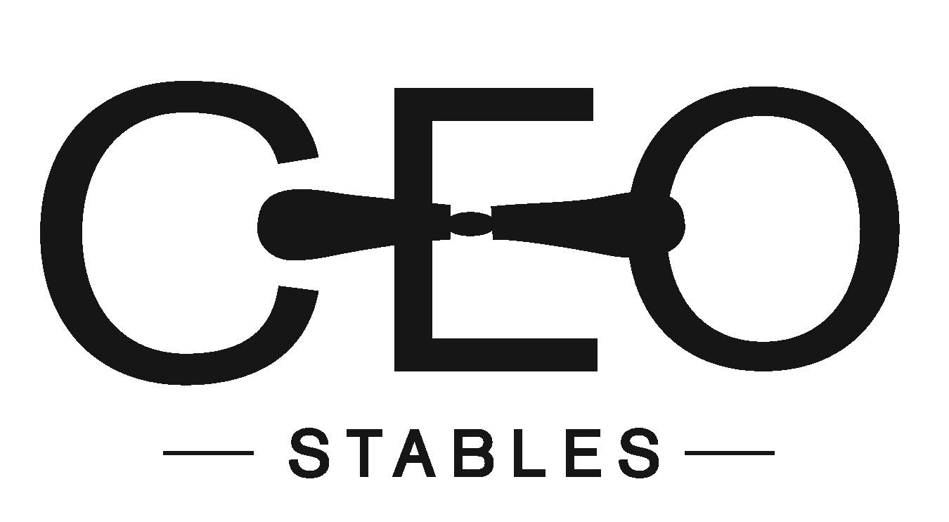 CEO Logo