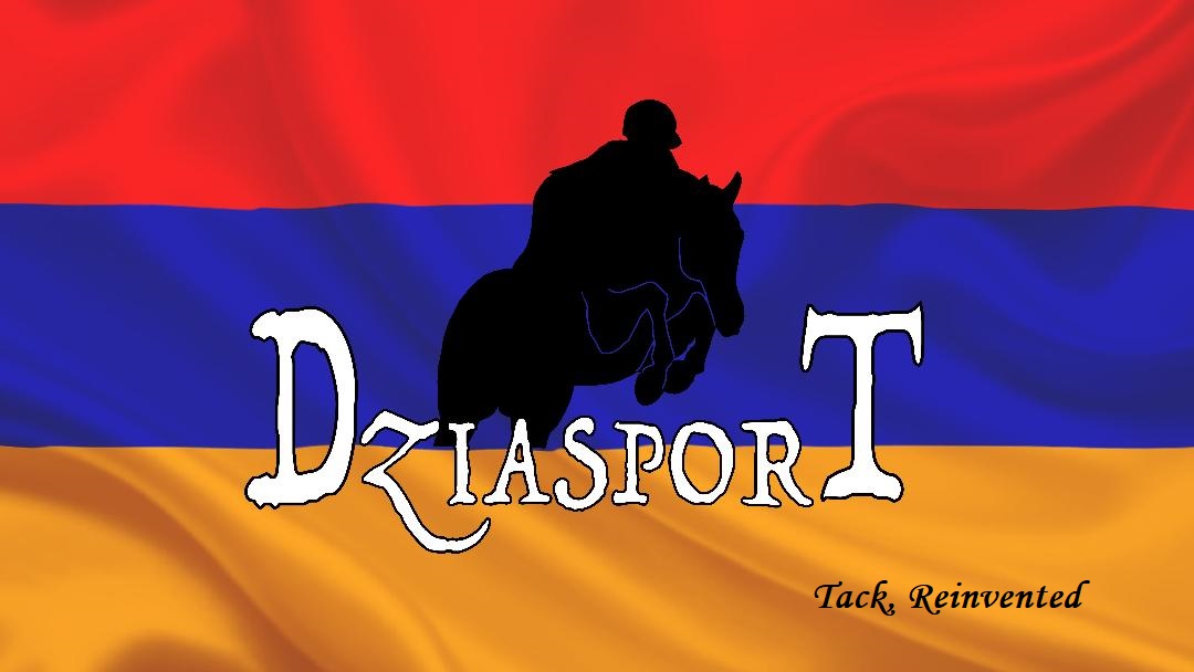 Dziasport logo 2