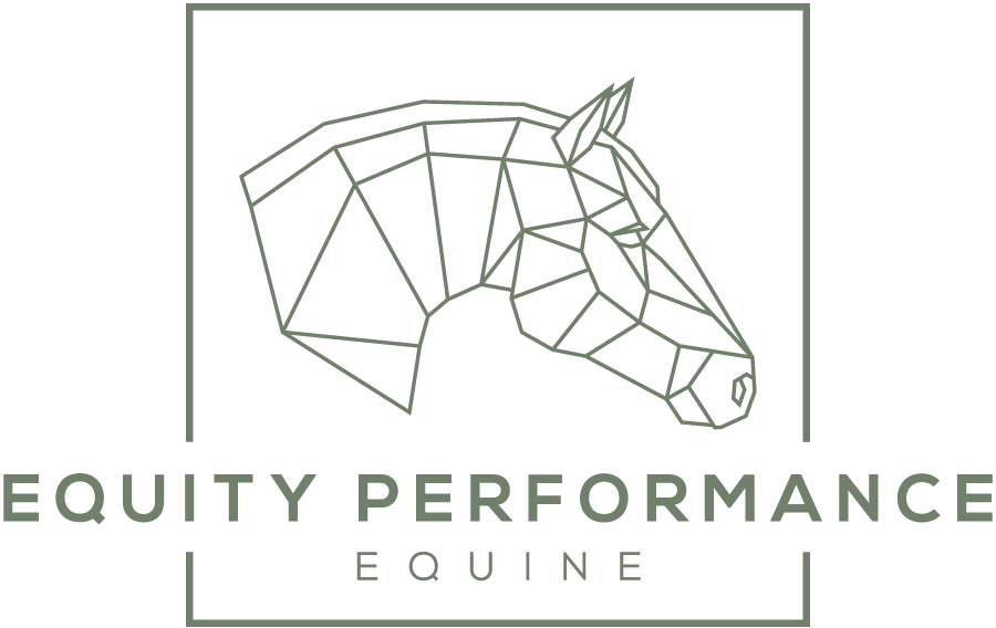 Equity-Performance-Equine