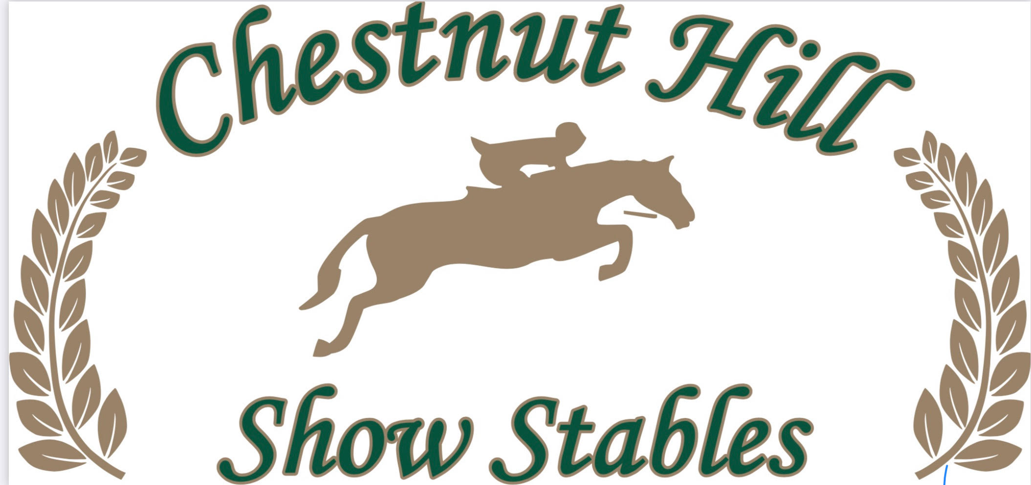 Chestnut-Hill-logo